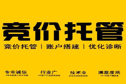 创新SEM推广优化技术：多行业成功案例解析